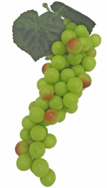 Druiventros (Vitis) 28 cm (tijdelijk uitverkocht)
